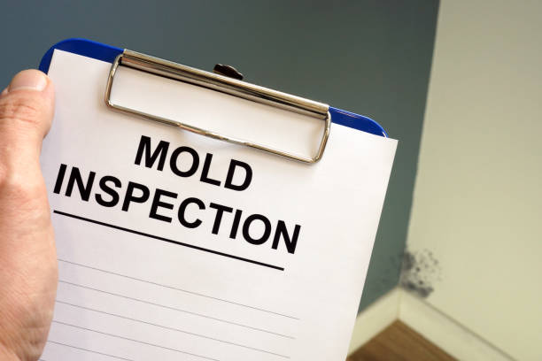 Best Forensic Mold Investigation  in Cut Bank, MT